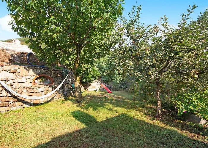 דירה Ca Olivella *